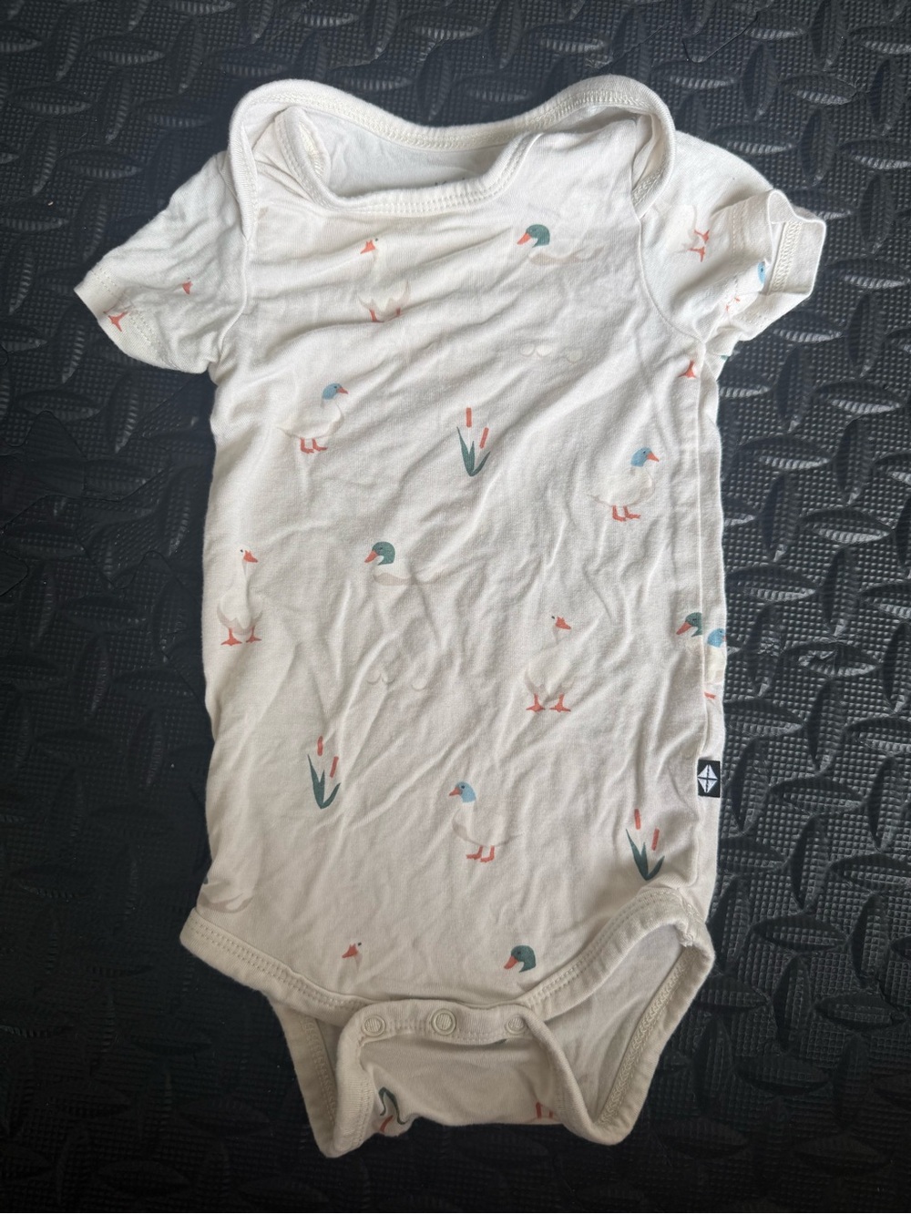 Kyte BABY Cream Short Sleeve Bodysuit with Small Teal and Coral Accents